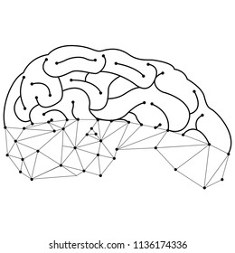Lineal brain design