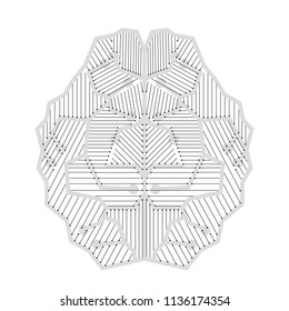 Lineal brain design