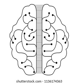 Lineal brain design