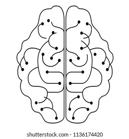 Lineal brain design