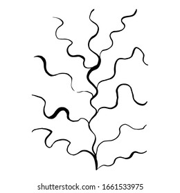 Linear abstraction, seaweed. Hand draw brushpen. Vector illustration on an isolated  white background.Doodle. For use as a separate element in patterns, fabric,textile, wallpaper, cover, packaging