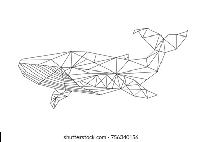 linear abstraction with whale image