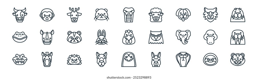 lineares Symbol-Paket für Tiere. Vektor dünne Linie Faultier, Affe, Reh, Wolf, Kaninchen, Walrus, Pinguin, Tiger-Icons geeignet für Apps und Websites ui Designs