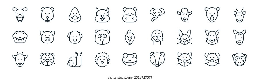 linear animals icon pack. vector thin line puma, hamster, duck, rhinoceros, panda, horse, frog, monkey icons suitable for apps and websites ui designs