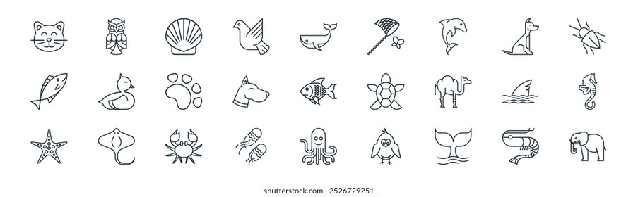 linear animals icon pack. vector thin line shrimp, owl, shell, dog, dog, seahorse, octopus, elephant icons suitable for apps and websites ui designs