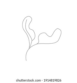 linear art flower leaf black and white illustration vector