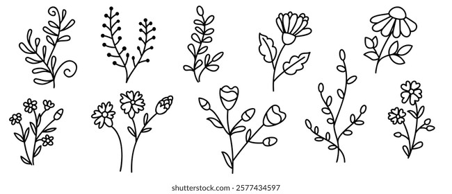 Linear Art flowers and twigs set isolated on white background. Outlines plants for use in cards, banners, invitation, pattern. Vector botanical design for printing. Hand drawn graphic illustration.