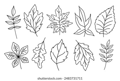 Linear art set of autumn leaves, contoured hand drawings, outline collection, isolated images on a white background