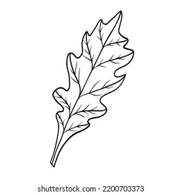 Linear autumn leaf. Line art clipart.