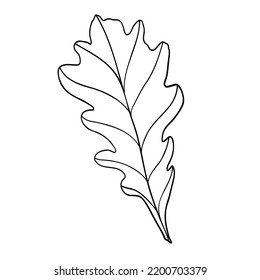 Linear autumn leaf. Line art clipart.