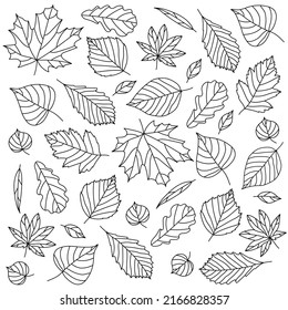 Linear autumn pattern, vector seamless pattern, black lines on a white background.
