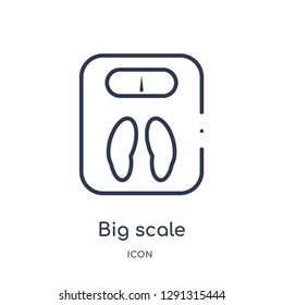 Linear big scale icon from Beauty outline collection. Thin line big scale vector isolated on white background. 