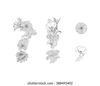 Linear black on white punctuation marks. Alphabet of flowers