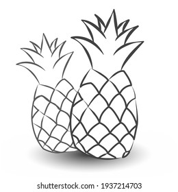 linear black and white contour drawing pineapple