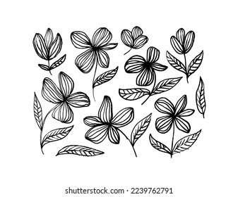 Flores lineales y hojas aisladas en fondo blanco. Lápiz dibujando flores. Elementos florales en blanco y negro de estilo hawaiano. Plantas salvajes vectoriales. Estilo infantil y esquemático. 