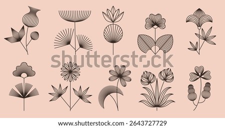 Linear boho flowers. Floral line art, bohemian style blooming plants with geometric flower and leaves. Abstract botanical isolated vector illustrations set with editable stroke path.