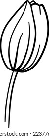 Linear botanical elements flowers and leaves. This art is perfect for invitation cards, spring and summer decor, greeting cards, posters, scrapbooking, print, etc.