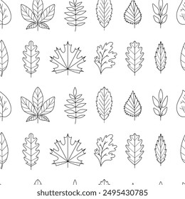Linear botanical fall seamless ornament. Autumn leaves contours - maple, oak, aspen, acacia. Golden season. Pattern, background, digital paper, wallpaper. Black and white line art.