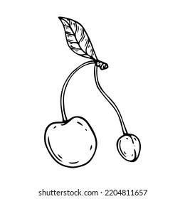 Linear botanical sketch of cherry berries with leaves. Vector graphics.