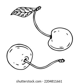 Esbozo botánico lineal de bayas de cerezo con hojas. Gráficos vectoriales.