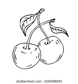 Esbozo botánico lineal de bayas de cerezo con hojas. Gráficos vectoriales.