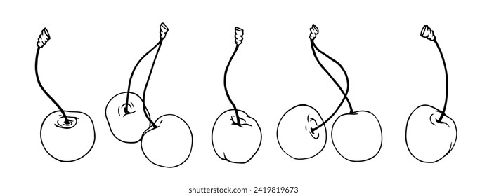 Linear botanical sketch of cherry berries with leaves. Vector graphics.	