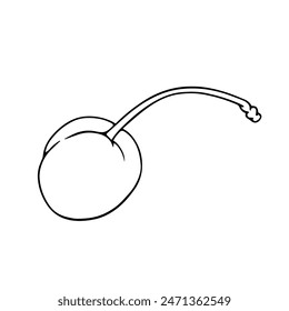 Esbozo botánico lineal, contorno de las bayas de cereza. Vector gráfico.