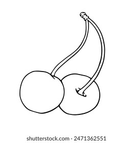Linear botanical sketch, outline of cherry berries. Vector graphics.