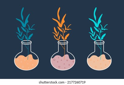 A linear bottle with a magic potion, a magic illustration, a liquid for celebrating Halloween, ingredients. Vector set of glass jars in linear style