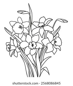 Linear bouquet of spring daffodils flowers and buds with leaves. Monochrome vector illustration hand drawn. Illustration for invitations, banners, postcards, design