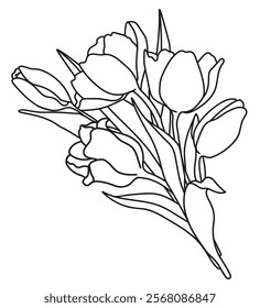 Linear bouquet of spring tulips, flowers and buds with leaves. Monochrome vector illustration hand-drawn. Illustration for invitations, banners, postcards, design