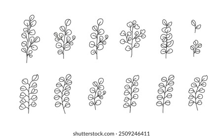 Ramas lineales de eucalipto. Verdor y follaje para ramos. Floral botanical line art. Dibujo en blanco y negro. Vector aislado en blanco.