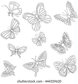 Linear butterflies, vector sketch