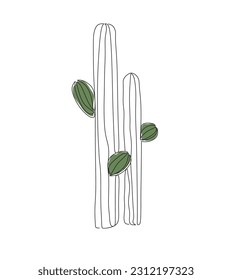 Linear cactus. One line drawing of a cactus on a white background. Vector illustration