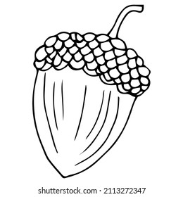 Linear cartoon hand drawn acorn. Cute raster black and white doodle acorn. Isolated monochrome acorn silhouette on white background.