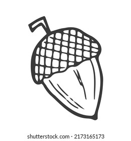 Linear Cartoon Hand Drawn Acorn. Cute Raster Black And White Doodle Acorn. Isolated Monochrome Acorn Silhouette On White Background.