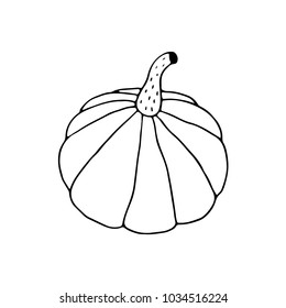 Linear cartoon hand drawn pumpkin. Cute vector black and white doodle pumpkin. Isolated monochrome pumpkin silhouette on white background.