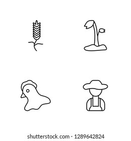Linear Cereal, Chicken, Sprout, Farmer Vector Illustration Of 4 outline Icons. Editable Pack Of Cereal, Chicken, Sprout, Farmer