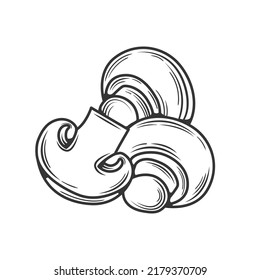 Linear champignon hand drawn, vector illustration.