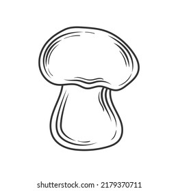 Linear champignon hand drawn, vector illustration.