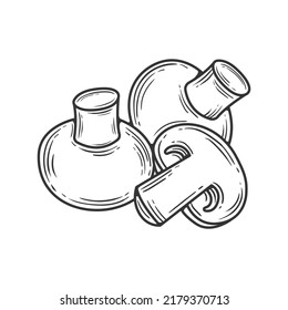 Linear champignon hand drawn, vector illustration.