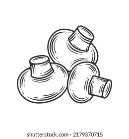 Linear champignon hand drawn, vector illustration.