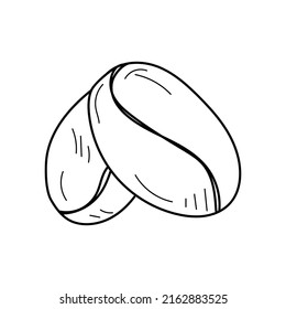 Linear coffee beans. Hand drawn coffee beans isolated on white background. Illustration for design logo, menu, label, icon, stamp. 