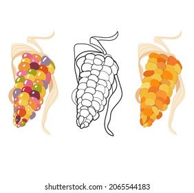 Linear color corn, contour, shape, outline isolated on white. Thin line. Modern design. Vector set. Illustrations of vegetables