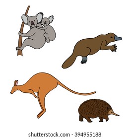 Linear colored set of vector animals isolated on white background. Vector illustration of cute animal set including kangaroo, koala, platypus and echidna.