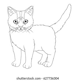 Linear contour of kitten for coloring.