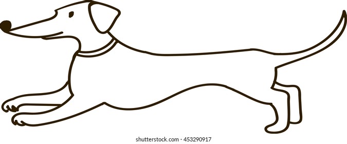 Linear cute dachshund