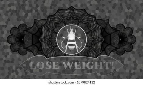 Linear decoration bee icon and Lose Weight! text stone wall emblem. Rock luxurious background. Intense illustration. 