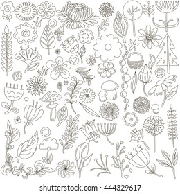 Linear decorative flowers, vector sketch