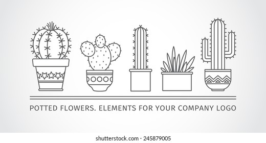 linear design, potted cactus. elements of a corporate logo